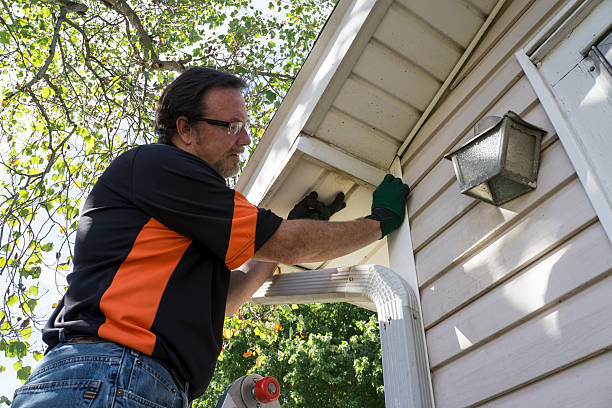 Best Steel Siding Installation  in Northvale, NJ